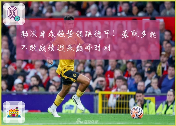 勒沃库森强势领跑德甲！豪取多轮不败战绩迎来巅峰时刻