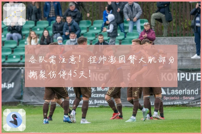 各队需注意！程帅澎因臀大肌部分撕裂伤停45天！